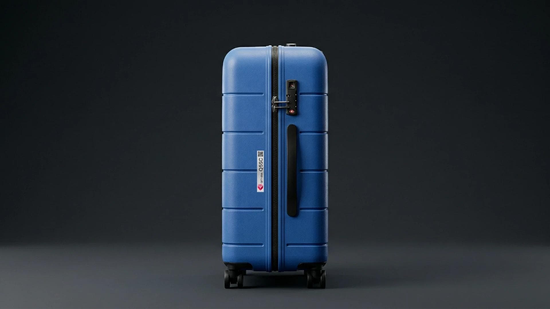 Travel Sentry